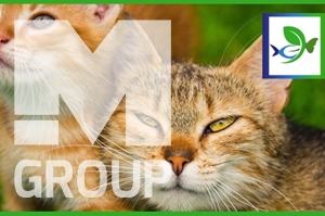 “ONDE HÁ GATO, (NÃO) HÁ…” PROJECT